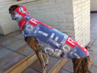 Pijama Felpa